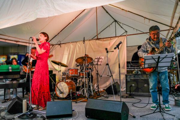 サンパレット#08_ウェスリー箱バンド